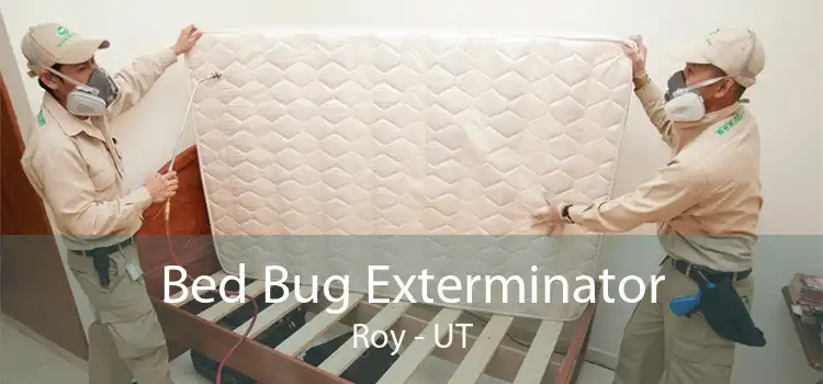 Bed Bug Exterminator Roy - UT