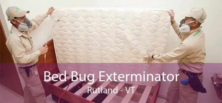 Bed Bug Exterminator Rutland - VT