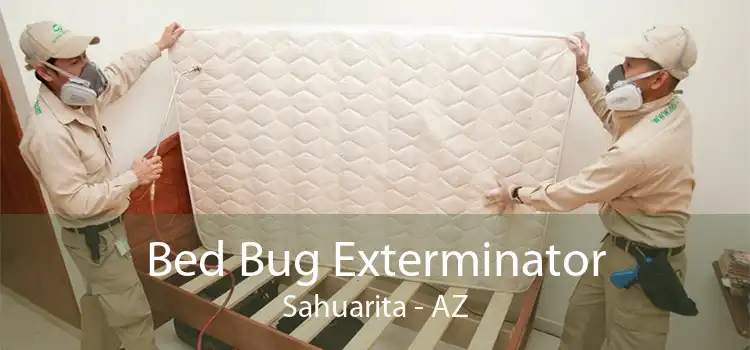 Bed Bug Exterminator Sahuarita - AZ