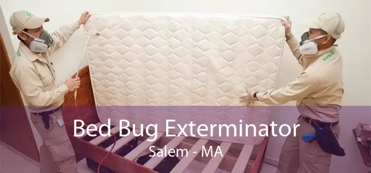 Bed Bug Exterminator Salem - MA