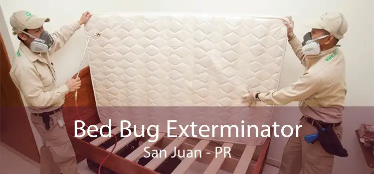 Bed Bug Exterminator San Juan - PR