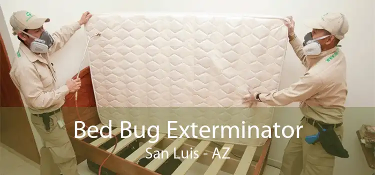 Bed Bug Exterminator San Luis - AZ