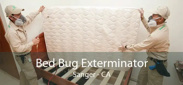 Bed Bug Exterminator Sanger - CA