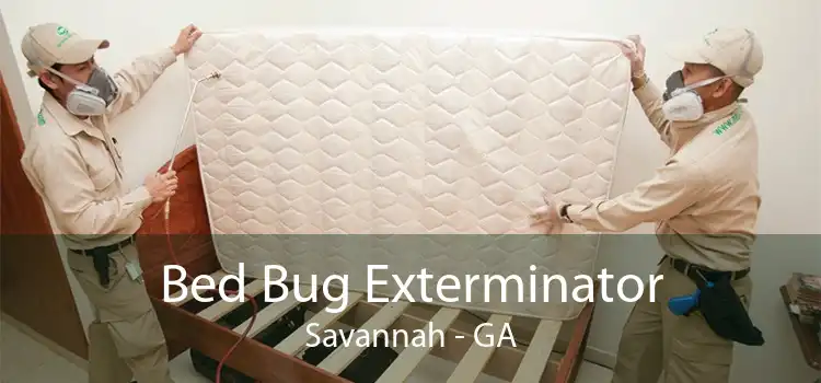 Bed Bug Exterminator Savannah - GA