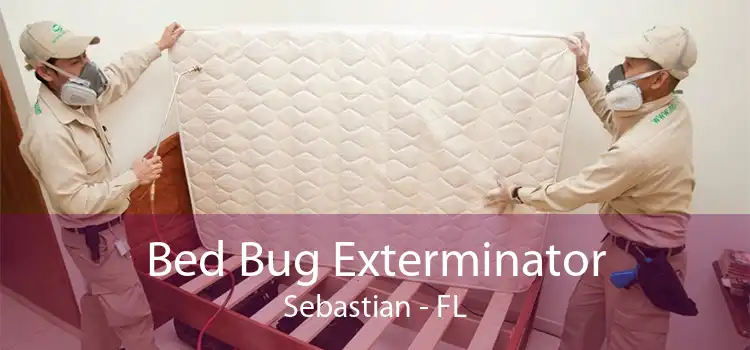 Bed Bug Exterminator Sebastian - FL