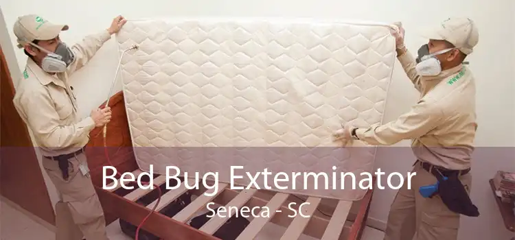 Bed Bug Exterminator Seneca - SC