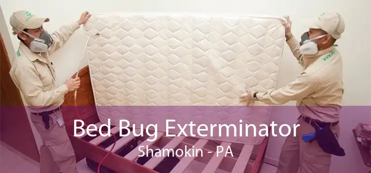 Bed Bug Exterminator Shamokin - PA