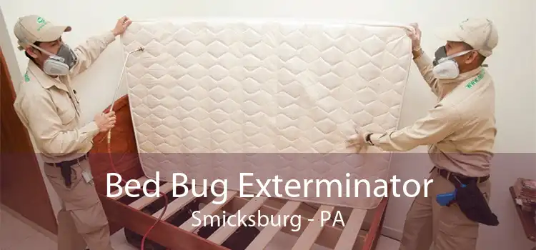 Bed Bug Exterminator Smicksburg - PA