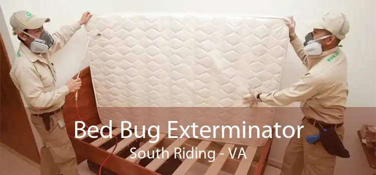 Bed Bug Exterminator South Riding - VA