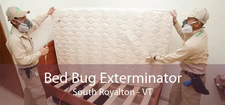 Bed Bug Exterminator South Royalton - VT