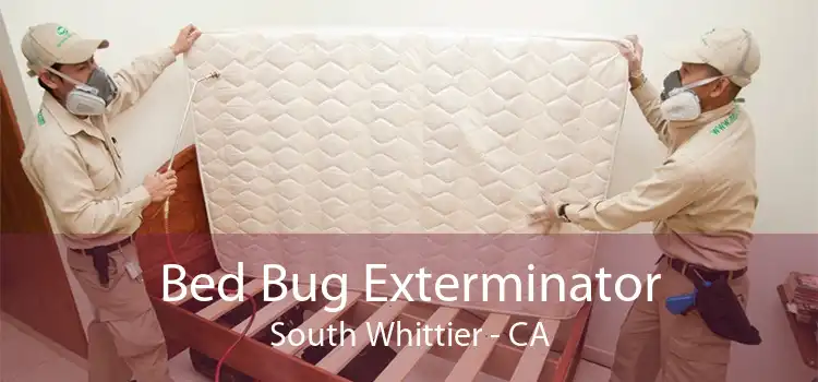 Bed Bug Exterminator South Whittier - CA