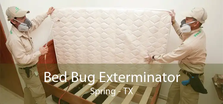 Bed Bug Exterminator Spring - TX