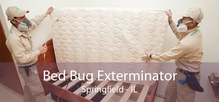 Bed Bug Exterminator Springfield - IL