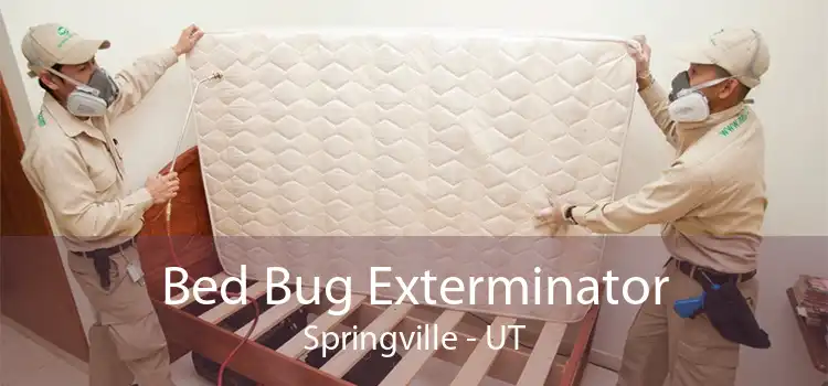 Bed Bug Exterminator Springville - UT