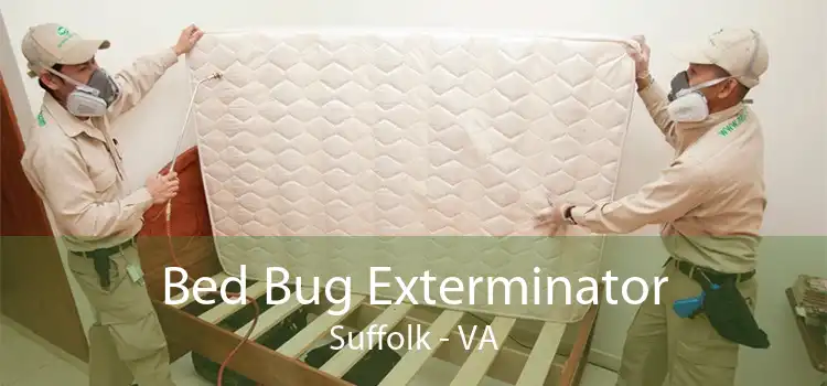 Bed Bug Exterminator Suffolk - VA