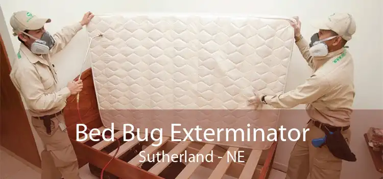 Bed Bug Exterminator Sutherland - NE