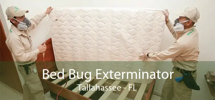 Bed Bug Exterminator Tallahassee - FL