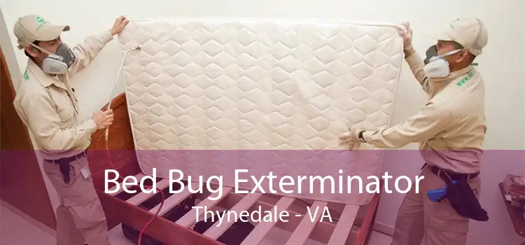 Bed Bug Exterminator Thynedale - VA