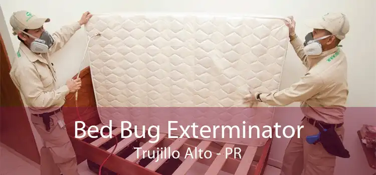 Bed Bug Exterminator Trujillo Alto - PR