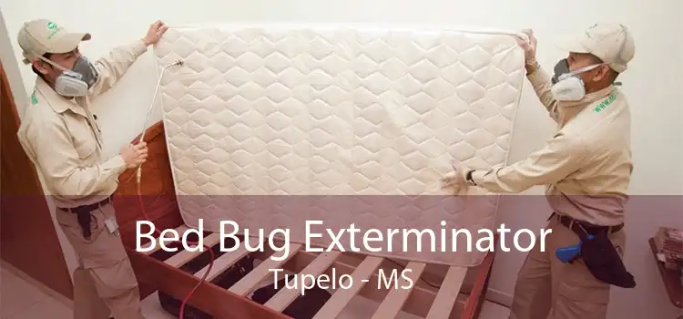 Bed Bug Exterminator Tupelo - MS