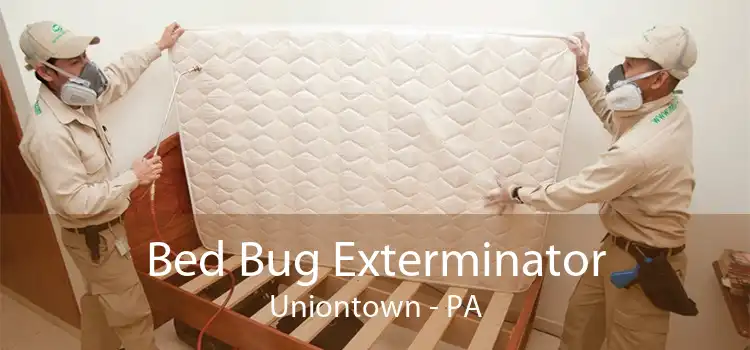 Bed Bug Exterminator Uniontown - PA