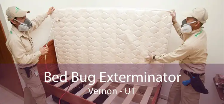 Bed Bug Exterminator Vernon - UT