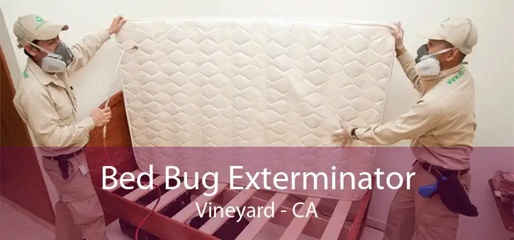 Bed Bug Exterminator Vineyard - CA
