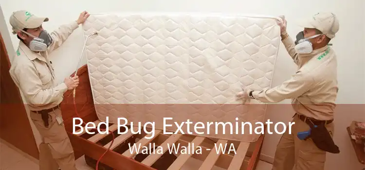 Bed Bug Exterminator Walla Walla - WA