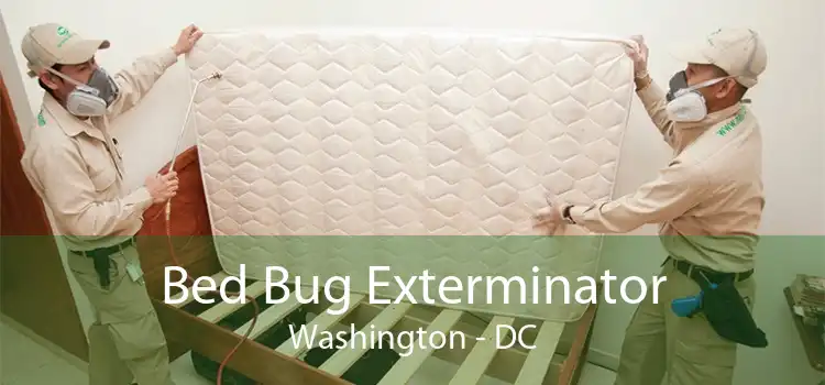 Bed Bug Exterminator Washington - DC
