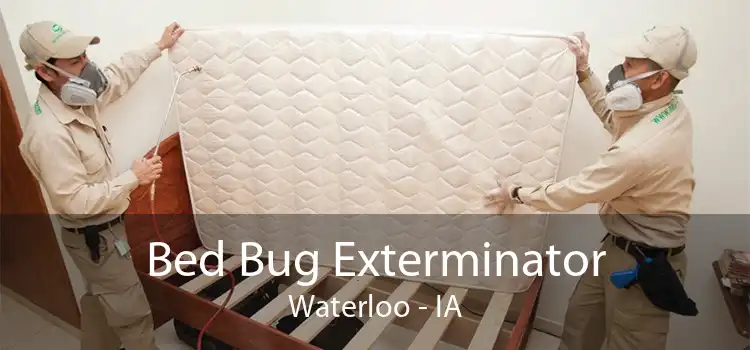 Bed Bug Exterminator Waterloo - IA