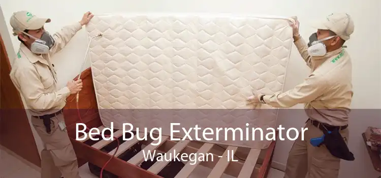 Bed Bug Exterminator Waukegan - IL