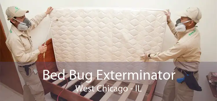 Bed Bug Exterminator West Chicago - IL