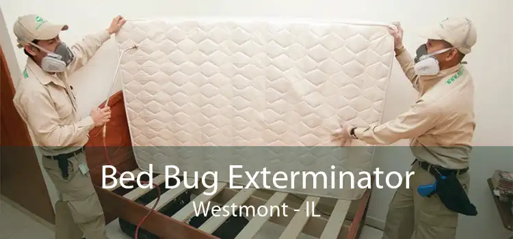 Bed Bug Exterminator Westmont - IL