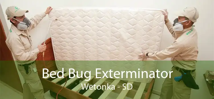 Bed Bug Exterminator Wetonka - SD