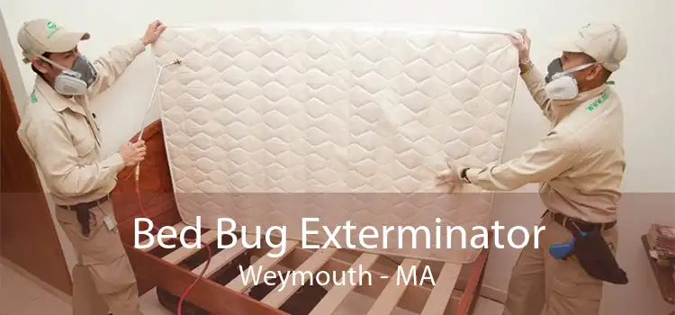 Bed Bug Exterminator Weymouth - MA