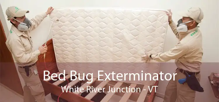 Bed Bug Exterminator White River Junction - VT