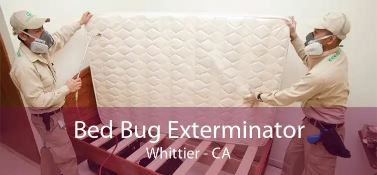 Bed Bug Exterminator Whittier - CA