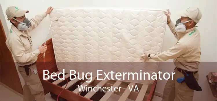 Bed Bug Exterminator Winchester - VA