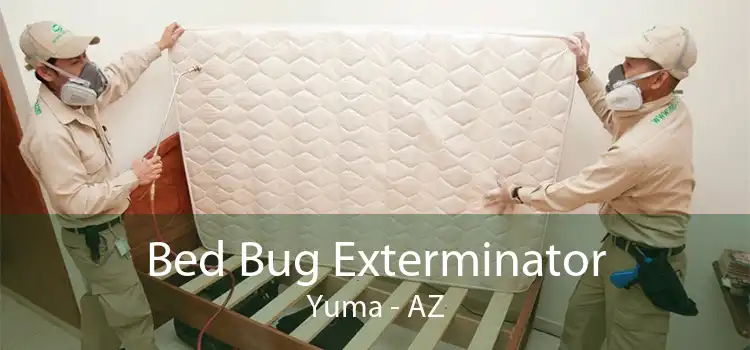 Bed Bug Exterminator Yuma - AZ