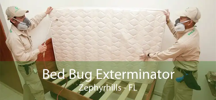 Bed Bug Exterminator Zephyrhills - FL