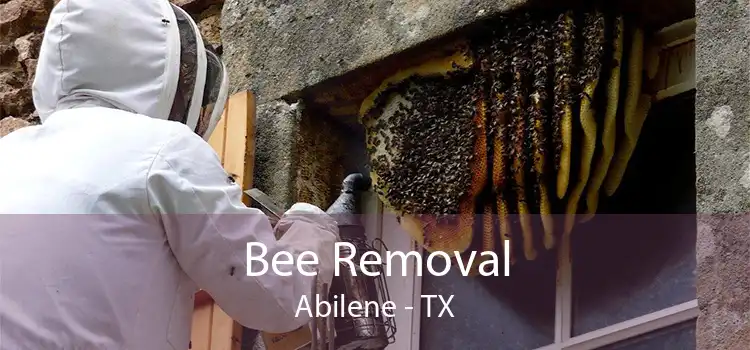 Bee Removal Abilene - TX