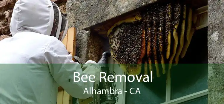 Bee Removal Alhambra - CA