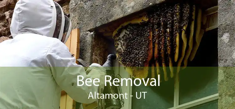 Bee Removal Altamont - UT