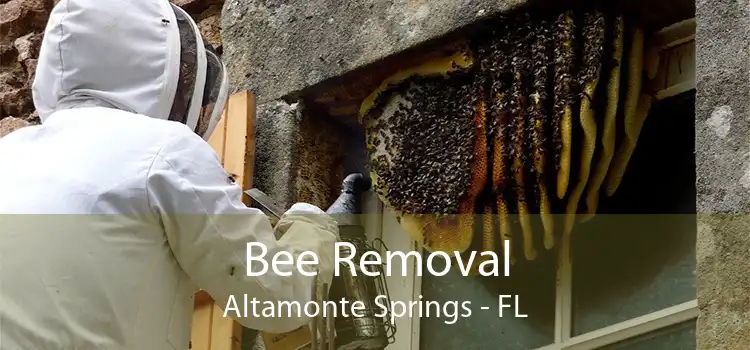 Bee Removal Altamonte Springs - FL