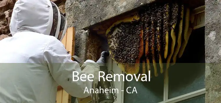 Bee Removal Anaheim - CA