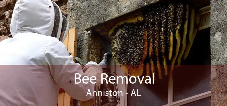 Bee Removal Anniston - AL