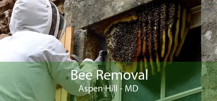 Bee Removal Aspen Hill - MD