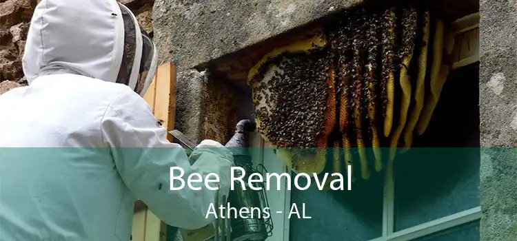 Bee Removal Athens - AL