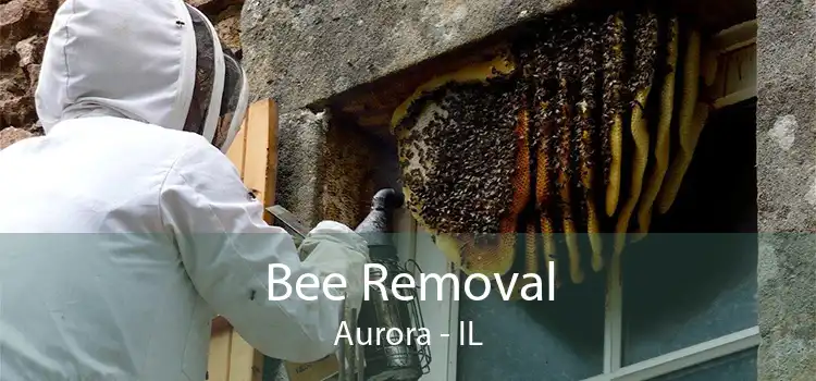 Bee Removal Aurora - IL