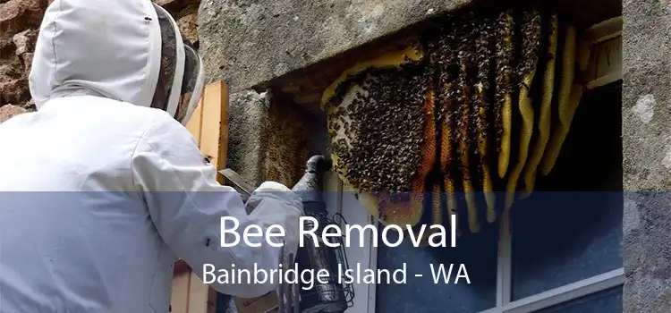 Bee Removal Bainbridge Island - WA
